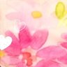 リナ's profile picture