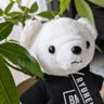 ぱきら📦️🐉🐨🐬🐧🦁🐢🐩✨💝 profil fotoğrafı