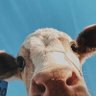 Martín Rodriguez profil fotoğrafı