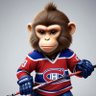 Hockey Monkey's profile picture