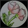 桜 的头像