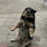 Alan 的头像