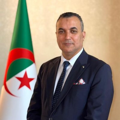 Sid Ali Zerrouki's profile picture