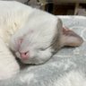 おいちゃん's profile picture
