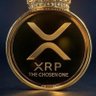 Фото профиля xrptas