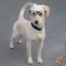 Profilbild von rrope con lentes