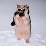 인생1회차(이창희)'s profile picture