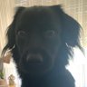 Elretano's profile picture