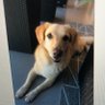 lhau55's profile picture