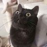緒方 陽 profil fotoğrafı