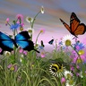 Фото профиля socialbutterfly🇬🇧