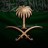 محمد الوليدي 的头像