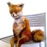 Origo Taro's profile picture