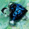 🐢Rei💕's profile picture