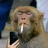 bumbaclat's profile picture