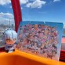 ゆずひこ☃️【雪民】 profil fotoğrafı
