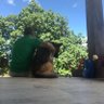 luisortiz profil fotoğrafı