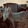 Фото профиля לביא אלמליח