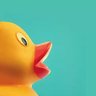 くちばし鴨🦆(カモンヌ)🎭♦🍞's profile picture