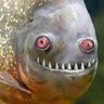 Profilbild von An Angry Troll