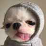 • M.𝗦𝗺𝗶𝗹𝗲𝘆 ◡̈ profil fotoğrafı
