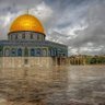 مسلم مجهول الهوية 的头像