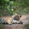 rajesh swaminathan profil fotoğrafı