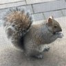 Mirdock A's profile picture
