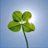 Jumma's profile picture