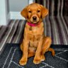 Jake Smith profil fotoğrafı