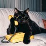 Aji's profile picture