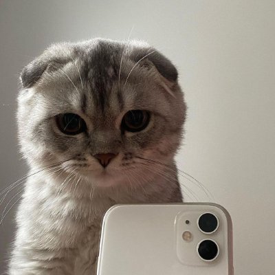 Fertice7's profile picture
