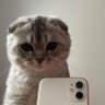 Profilbild von Fertice