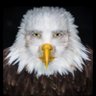 venez's profile picture