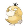 Profilbild von L