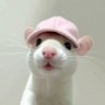 Evior's profile picture