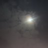solace_lb's profile picture