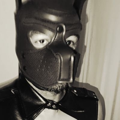 _FacoCudeXota_'s profile picture