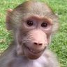 Hugh Gewch's profile picture