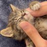 わか profil fotoğrafı