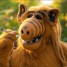 Max's profile picture