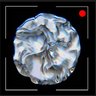 Skywatcher's profile picture