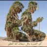 غازي profil fotoğrafı