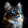 Ali.BY profil fotoğrafı