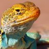 Crete profil fotoğrafı
