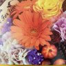Фото профиля 荒巻佳祐
