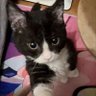 kapo d uva⁷ profil fotoğrafı