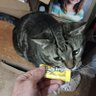 @donniedonuts profil fotoğrafı