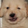 phuphunpangpond's profile picture