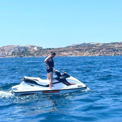 Damil Bauer 🛡️'s profile picture